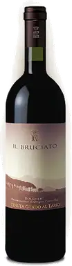 Bolgheri Il Bruciato